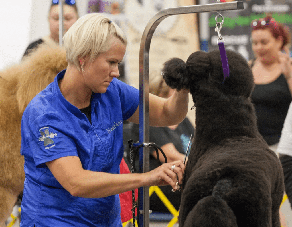 Doggie Detailing Trenval